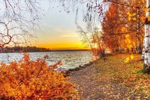 Beautiful Autumn Wallpaper 1920x1080 for 4K