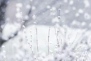most popular winter desktop backgrounds 3888x2592 images