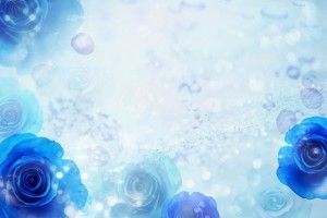 gorgerous Blue Rose Background 1920x1200