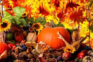 fall harvest wallpaper 1920x1200 for retina