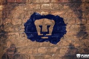widescreen Pumas Wallpapers 1920x1200