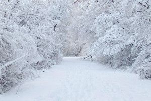 download free Snow Background Pictures 1920x1080