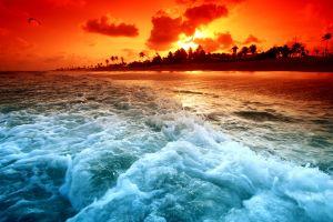 beach background 1920x1200 for samsung galaxy