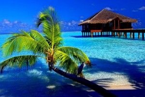 Tropical Wallpapers 1920x1080 for mobile hd