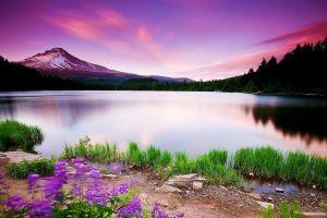 beautiful scenery wallpaper 2560x1600
