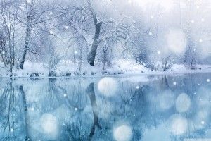 Snow Winter Wallpaper 2560x1600 for android 5.0