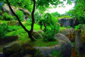 top HD 3D Wallpapers 1080p 1920x1080 for xiaomi