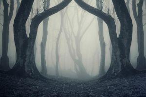 beautiful creepy background 1920x1080