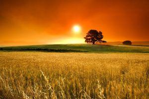 full size landscape background 2560x1600