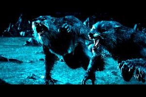 Underworld Werewolf Wallpaper 1920x1080 for samsung