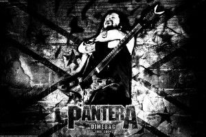 popular Pantera Wallpapers 1920x1080 for mobile hd