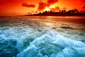 free download High Resolution Wallpaper 2560x1600 2560x1600