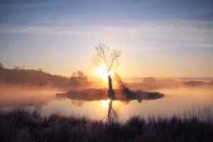 Sunday Morning Wallpaper 1920x1080 for tablet