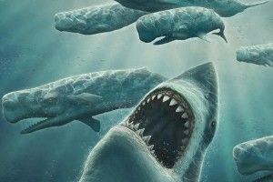 Megalodon Wallpapers 1920x1080 lockscreen