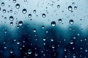 download free Wallpapers of Raindrops 1920x1200