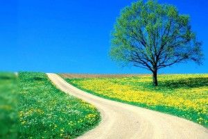 Nature Wallpaper for Desktop 1920x1080 samsung