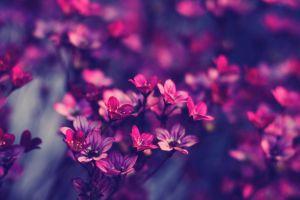 beautiful cool backgrounds tumblr 3840x2160 for Full HD
