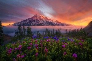 Mount Rainier Wallpaper 2048x1498 for iphone