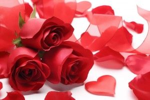 full size Red Rose Heart Wallpaper 1920x1200 for xiaomi