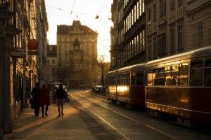 large Vienna Wallpapers 1920x1200 for android 4.0