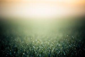backgrounds 2560x1600 windows xp