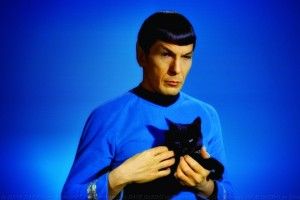 popular Spock Wallpaper 2560x1440 windows 7