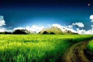beautiful Hi Res Background Images 1920x1200 for mac