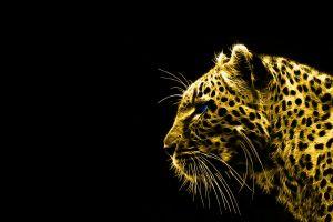black and gold background 1920x1080 for android 5.0