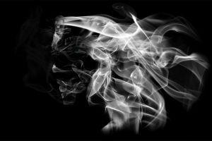 download free smoke wallpaper 1920x1200 images