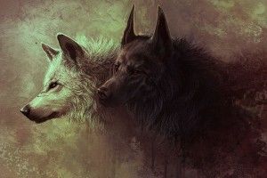 top Wolves Wallpaper 1920x1080