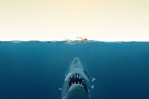 Jaws Wallpaper 1920x1080 iPad