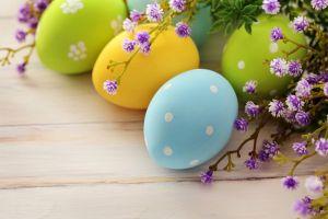 top easter background 2880x1800 for android 4.0