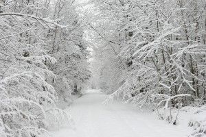 beautiful Winter Snow Background 2880x1920 for android 4.0