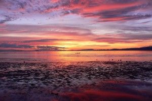 download free Sunset Beach Background 1920x1200 for tablet