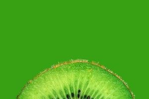 cool Kiwi Wallpaper 1920x1200