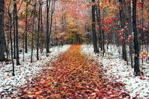 large november background 1920x1200 for tablet