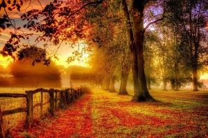 amazing Wallpaper Autumn 1920x1080 for iPad