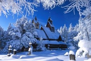 Winter Nature Wallpapers 2560x1920 photo