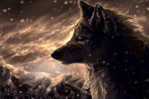top Fantasy Wolf Wallpaper 1920x1200 laptop