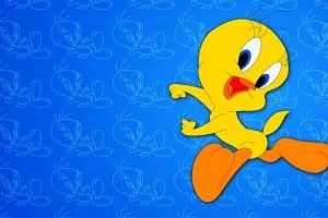 cool Tweety Wallpapers 1920x1200