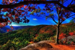 widescreen Full HD Nature Wallpapers 1920x1080