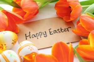 top Happy Easter Wallpaper 2560x1600
