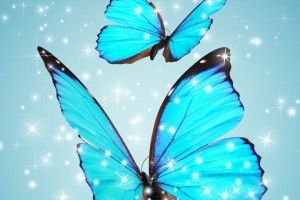 Blue Butterfly Background 1080x1920 for 4K