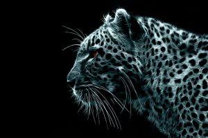 best wallpaper desktop 1920x1080 for desktop