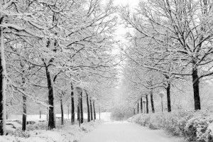large Snow Desktop Backgrounds 2560x1600