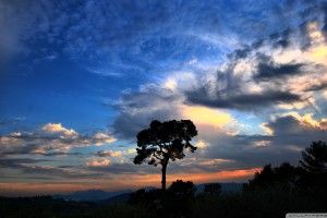 download free National Geographic Wallpaper HD 1920x1080 for mac