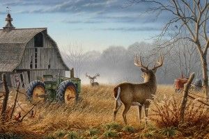 download free Monster Bucks Wallpaper 1920x1200 for meizu