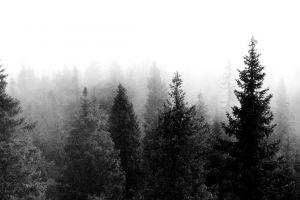 large indie wallpaper 2560x1440