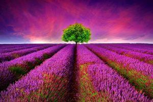 laptop wallpapers 1920x1054 for mac