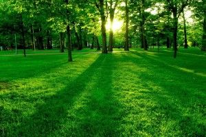 download Springs Wallpaper 1920x1200
